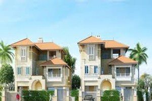Vinaconex trở thành cổ đông lớn của VIPACO